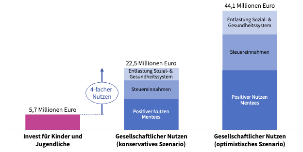 MsM-Investition